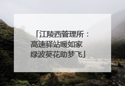 江陵西管理所：高速驿站暖如家 绿波葵花助梦飞