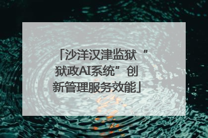 沙洋汉津监狱“狱政AI系统”创新管理服务效能
