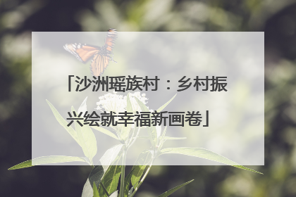 沙洲瑶族村：乡村振兴绘就幸福新画卷