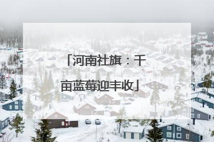河南社旗：千亩蓝莓迎丰收