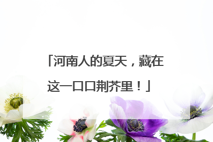 河南人的夏天，藏在这一口口荆芥里！