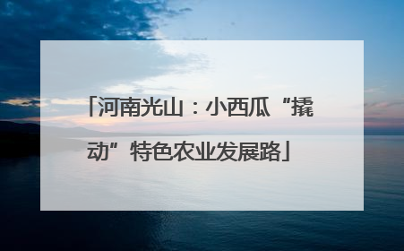 河南光山：小西瓜“撬动”特色农业发展路