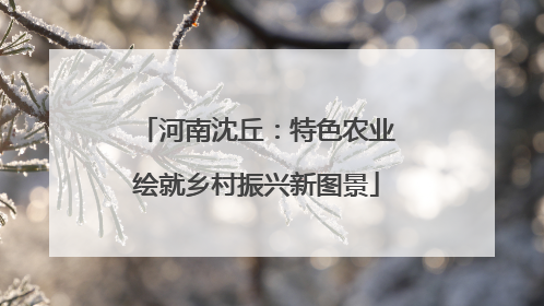 河南沈丘：特色农业绘就乡村振兴新图景