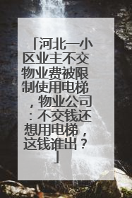 河北一小区业主不交物业费被限制使用电梯，物业公司：不交钱还想用电梯，这钱谁出？
