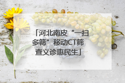 河北南皮“一扫多筛”移动CT筛查义诊惠民生
