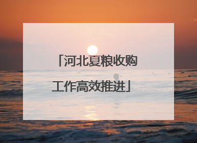 河北夏粮收购工作高效推进
