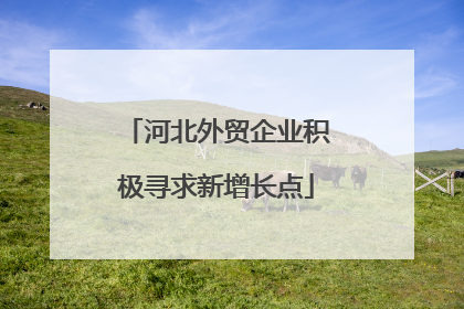 河北外贸企业积极寻求新增长点