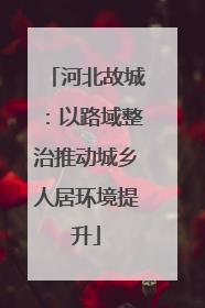 河北故城：以路域整治推动城乡人居环境提升