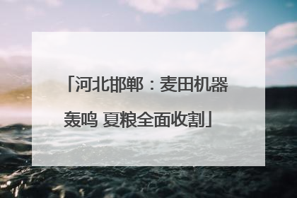 河北邯郸：麦田机器轰鸣 夏粮全面收割