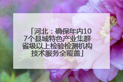 河北：确保年内107个县域特色产业集群省级以上检验检测机构技术服务全覆盖