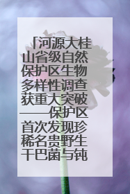 河源大桂山省级自然保护区生物多样性调查获重大突破——保护区首次发现珍稀名贵野生干巴菌与钝尾两头蛇