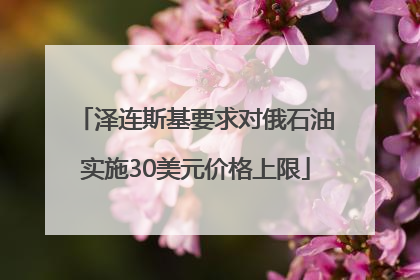 泽连斯基要求对俄石油实施30美元价格上限