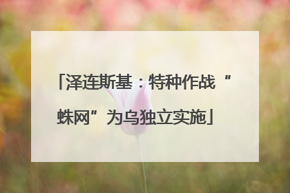 泽连斯基：特种作战“蛛网”为乌独立实施