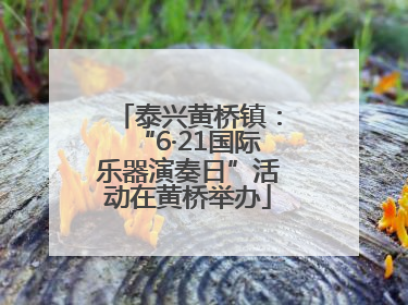 泰兴黄桥镇：“6·21国际乐器演奏日”活动在黄桥举办