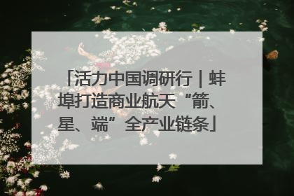 活力中国调研行｜蚌埠打造商业航天“箭、星、端”全产业链条