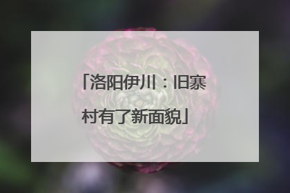 洛阳伊川：旧寨村有了新面貌