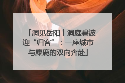 洞见岳阳丨洞庭碧波迎“归客”：一座城市与麋鹿的双向奔赴