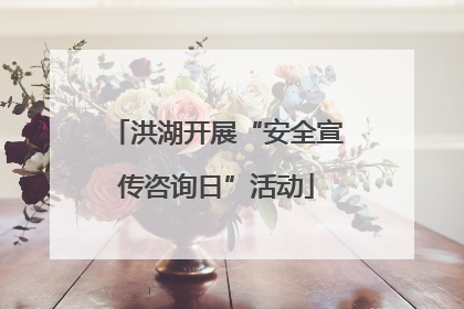 洪湖开展“安全宣传咨询日”活动