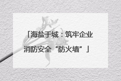 海盐于城：筑牢企业消防安全“防火墙”