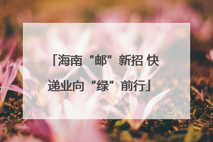 海南“邮”新招 快递业向“绿”前行