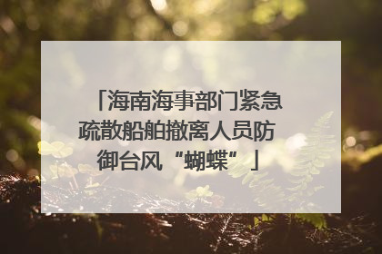 海南海事部门紧急疏散船舶撤离人员防御台风“蝴蝶”