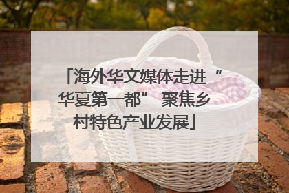 海外华文媒体走进“华夏第一都” 聚焦乡村特色产业发展