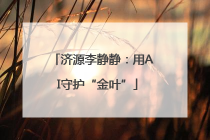 济源李静静：用AI守护“金叶”