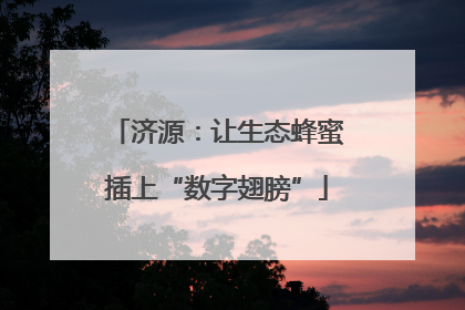 济源：让生态蜂蜜插上“数字翅膀”