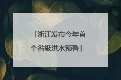 浙江发布今年首个省级洪水预警
