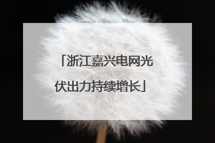 浙江嘉兴电网光伏出力持续增长