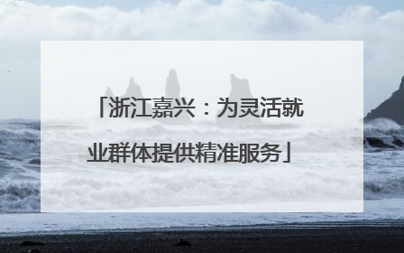 浙江嘉兴：为灵活就业群体提供精准服务