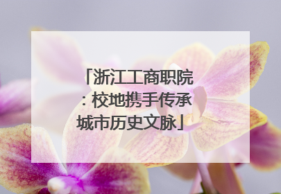 浙江工商职院：校地携手传承城市历史文脉