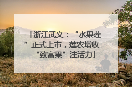 浙江武义：“水果莲”正式上市，莲农增收“致富果”注活力