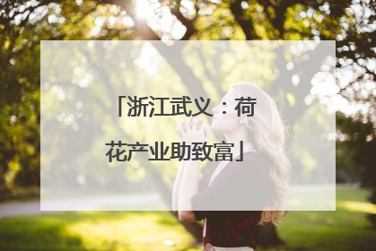 浙江武义：荷花产业助致富