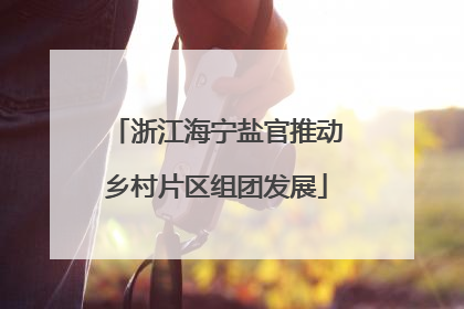 浙江海宁盐官推动乡村片区组团发展