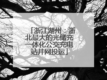 浙江湖州：浙北最大的光储充一体化公交充电站并网投运