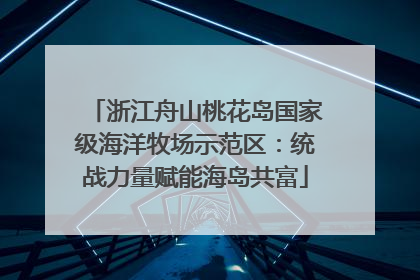 浙江舟山桃花岛国家级海洋牧场示范区：统战力量赋能海岛共富