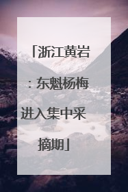 浙江黄岩：东魁杨梅进入集中采摘期