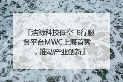 浩鲸科技低空飞行服务平台MWC上海首秀，推动产业创新