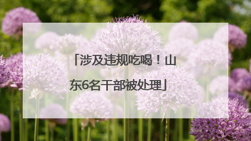 涉及违规吃喝！山东6名干部被处理