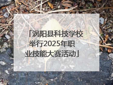 涡阳县科技学校举行2025年职业技能大赛活动