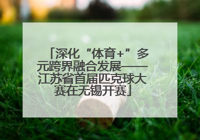 深化“体育+”多元跨界融合发展——江苏省首届匹克球大赛在无锡开赛