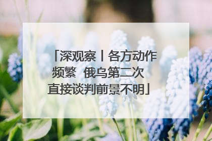 深观察丨各方动作频繁  俄乌第二次直接谈判前景不明