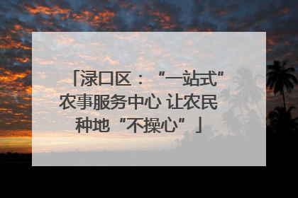 渌口区：“一站式”农事服务中心 让农民种地“不操心”