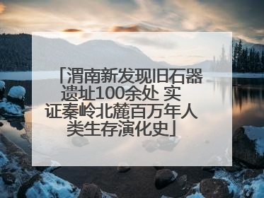 渭南新发现旧石器遗址100余处 实证秦岭北麓百万年人类生存演化史