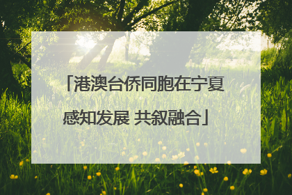港澳台侨同胞在宁夏感知发展 共叙融合