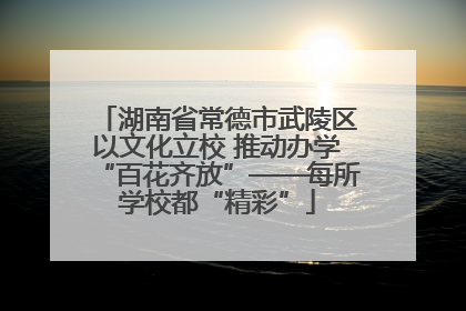 湖南省常德市武陵区以文化立校 推动办学“百花齐放”——每所学校都“精彩”