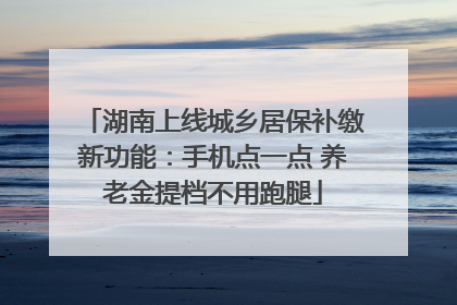 湖南上线城乡居保补缴新功能：手机点一点 养老金提档不用跑腿