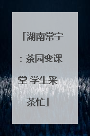 湖南常宁：茶园变课堂 学生采茶忙