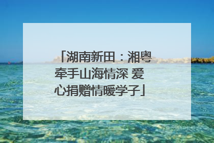 湖南新田：湘粤牵手山海情深 爱心捐赠情暖学子